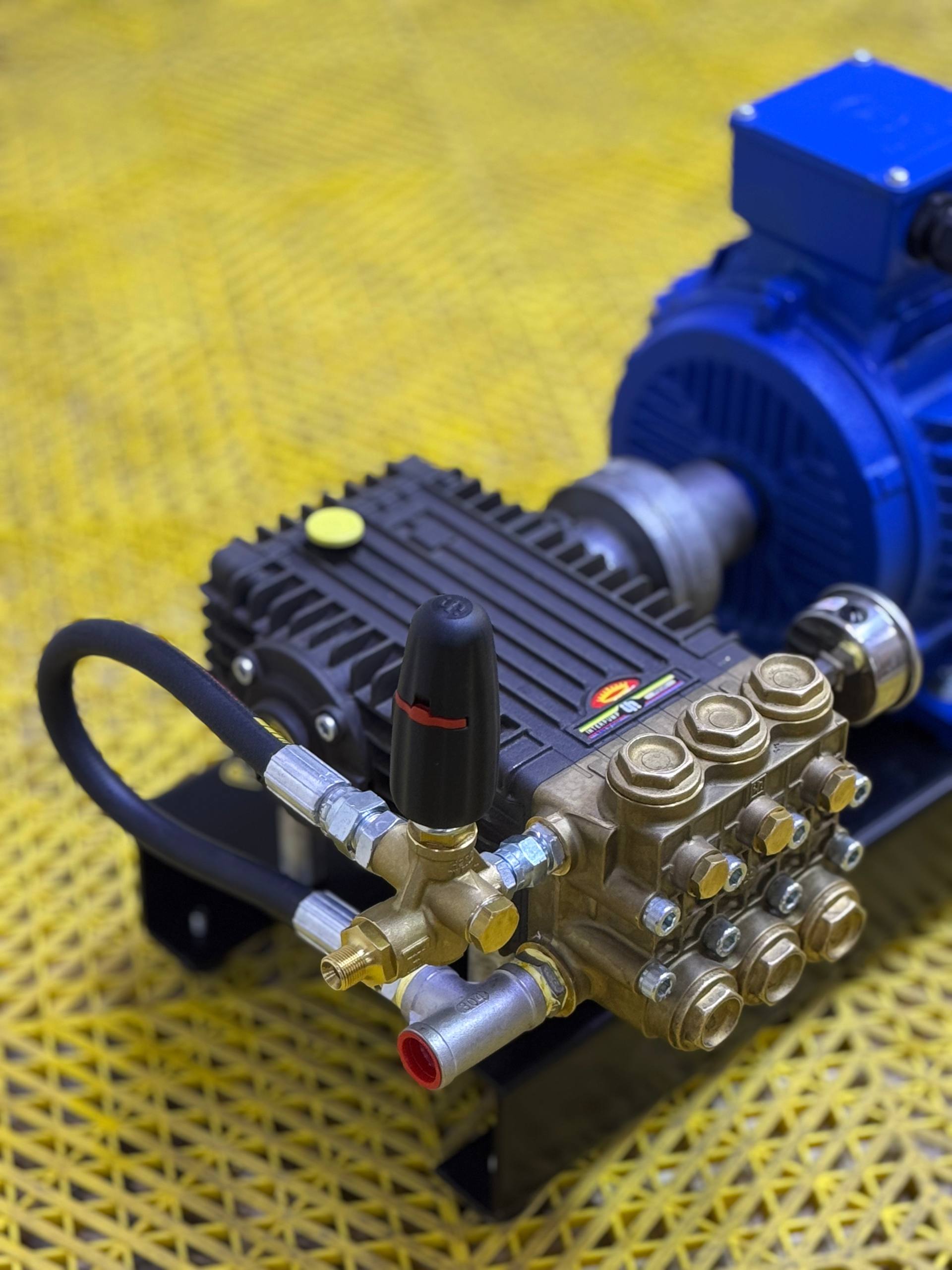 Photo 8 2026 02 03 23 22 28